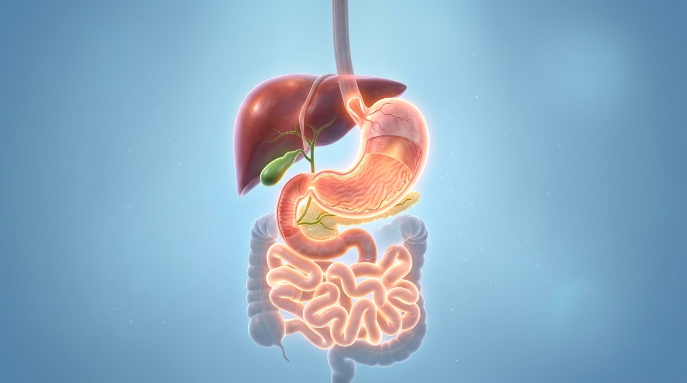 Digestive Health Guide: When to See a Specialist